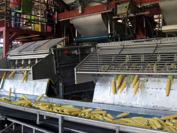 Attrezzature-per-lavorazione-alimenti.jpg