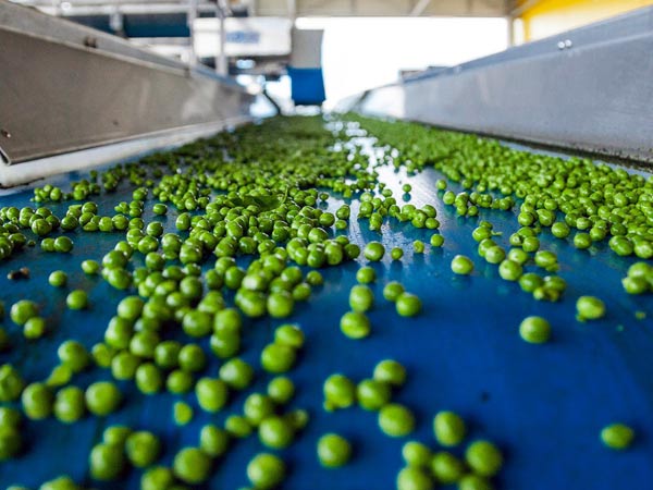 Vendita-macchine-femia-lavorazione-alimenti